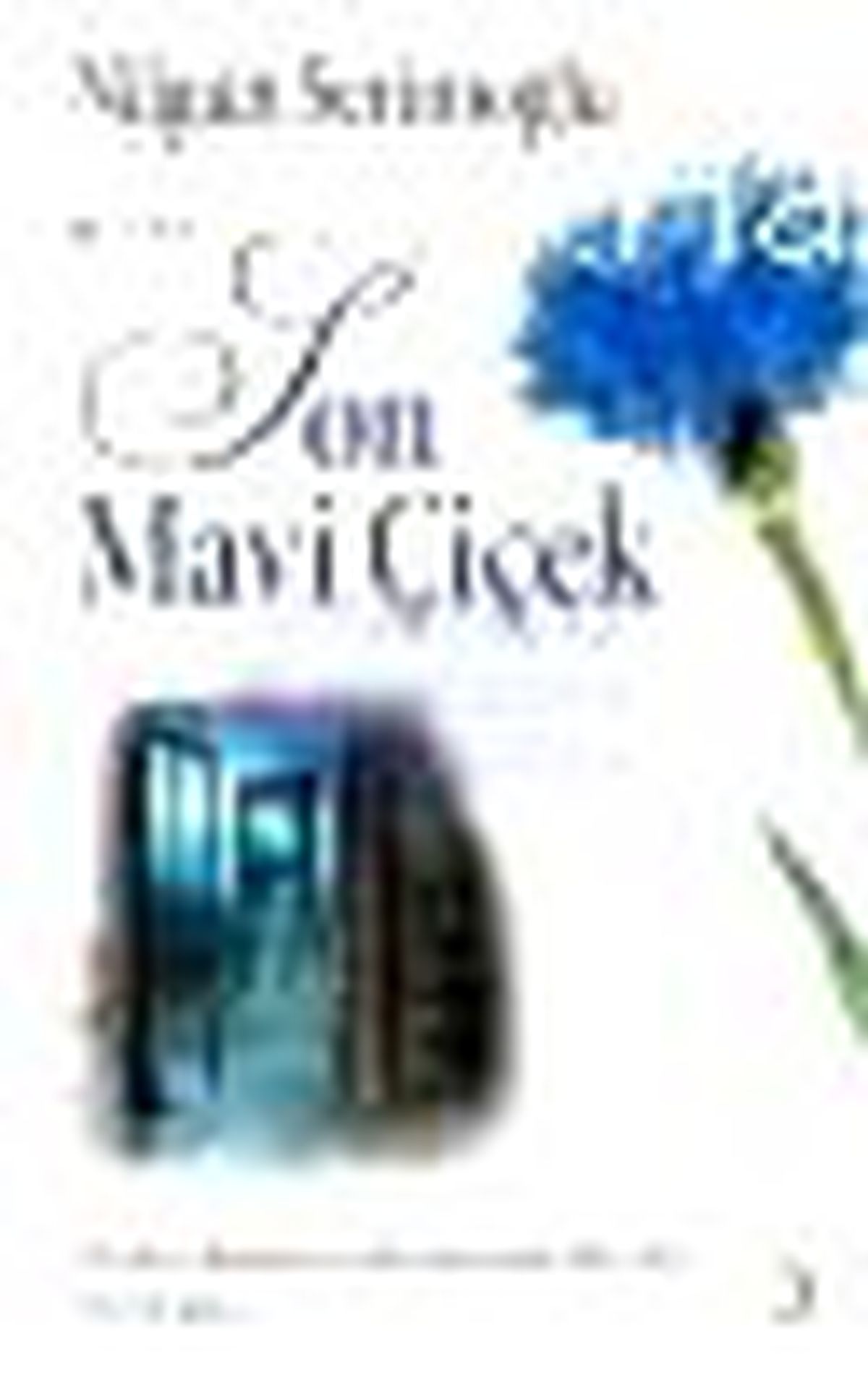 Son Mavi Çiçek Kitabı