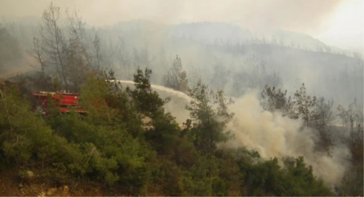 Türkiye Suriye Sınırındaki Orman Yangınları