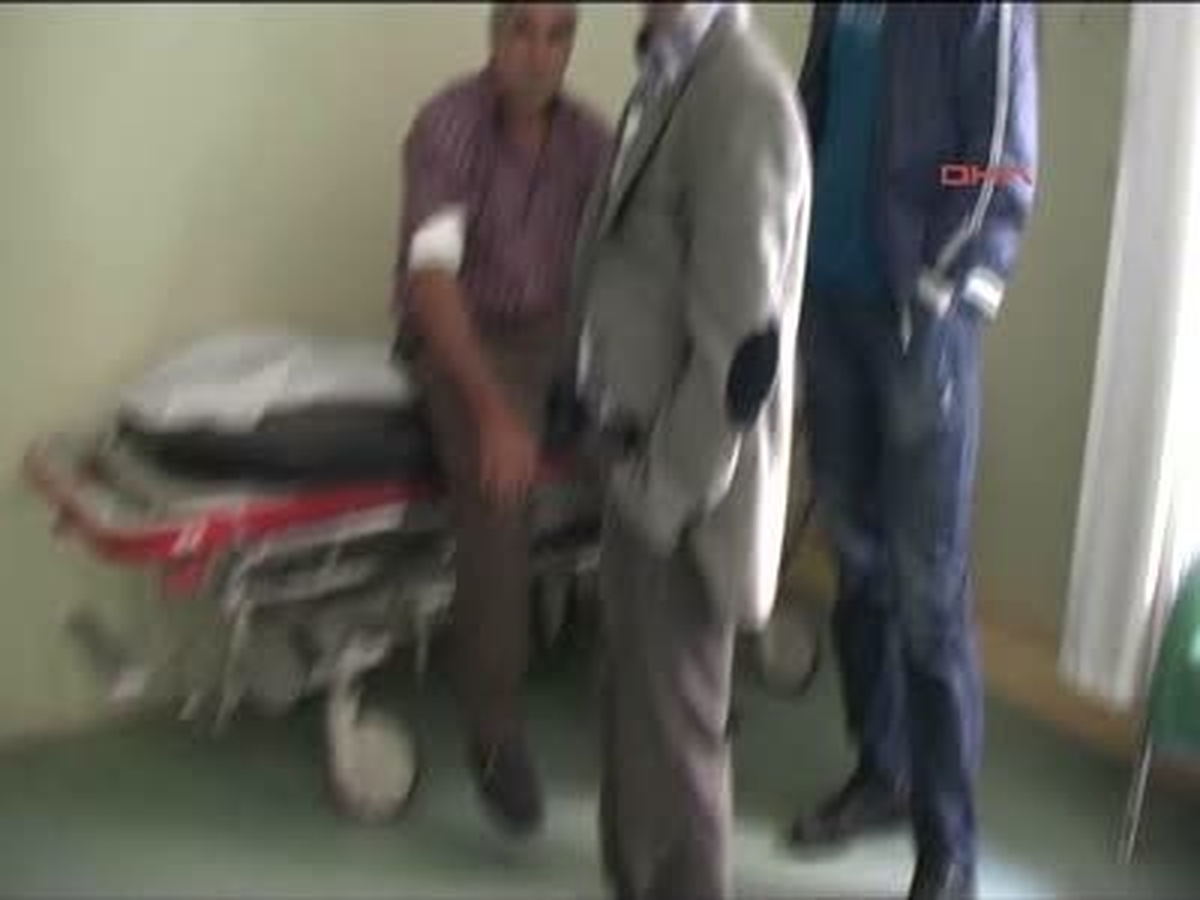 5 Kişiye Saldıran Kurt Kuduz Çıktı, Belde Karantinaya Alındı
