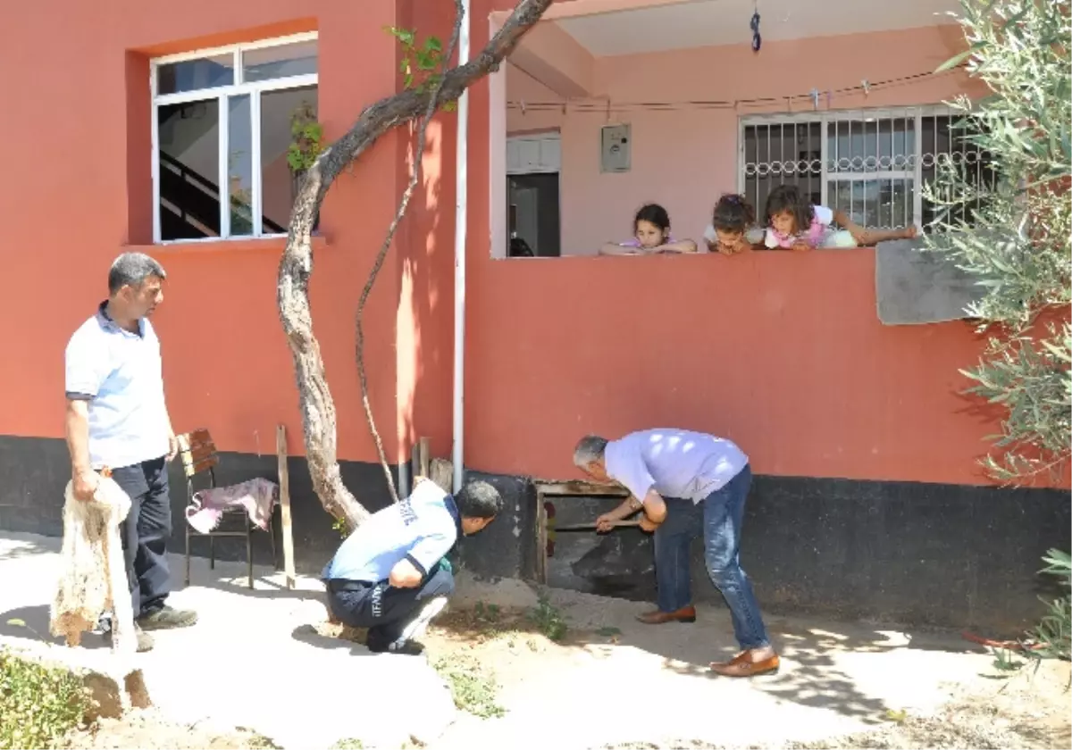 Adana\'da Yılan Yakalama Operasyonu