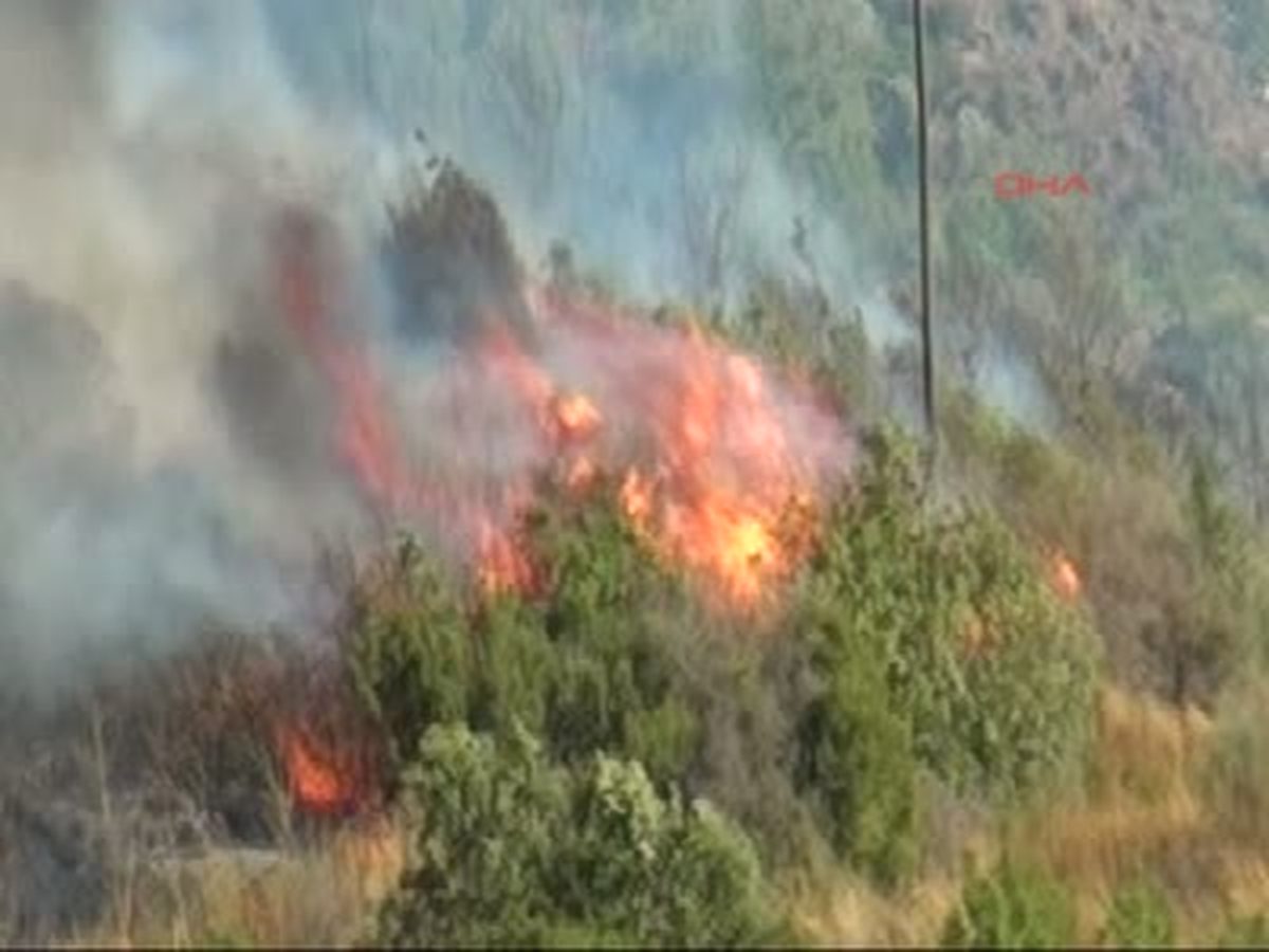 Alanya\'da 3 Hektarlık Alan Kül Oldu
