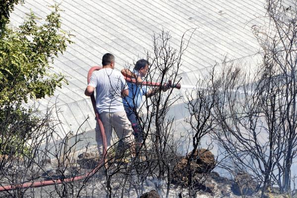 Antalya\'da Yangın: Çok Sayıda Sera Zarar Gördü