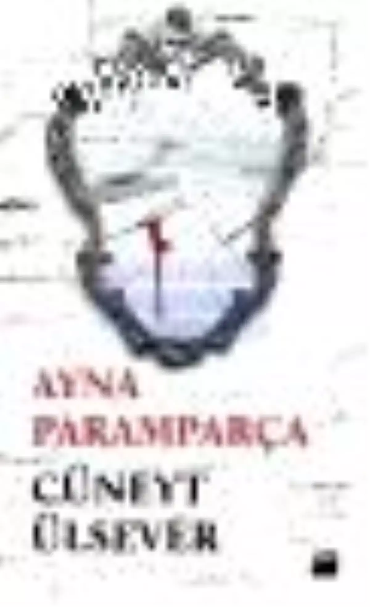 Ayna Paramparça Kitabı