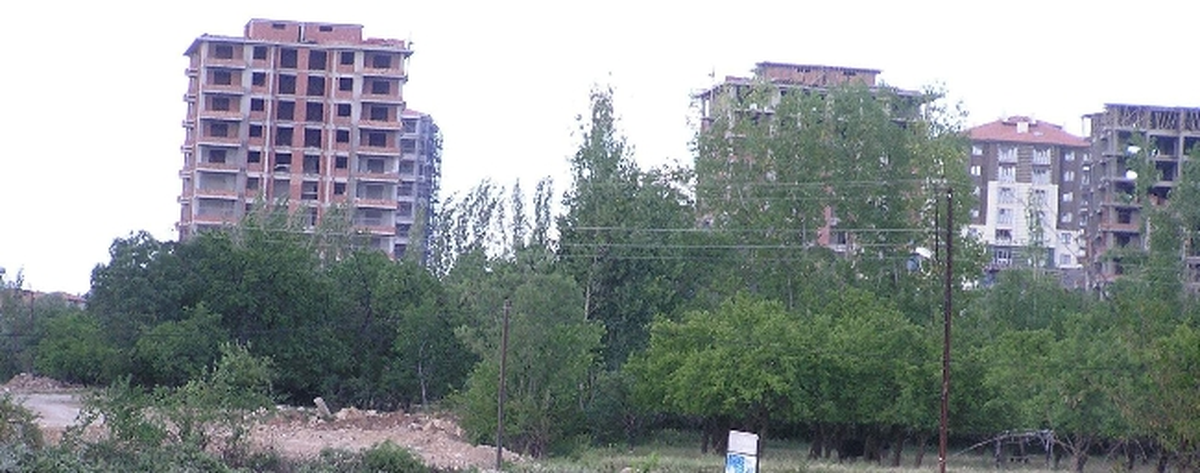 Bakanlık, Ağaç Katliamına \'Dur\' Dedi