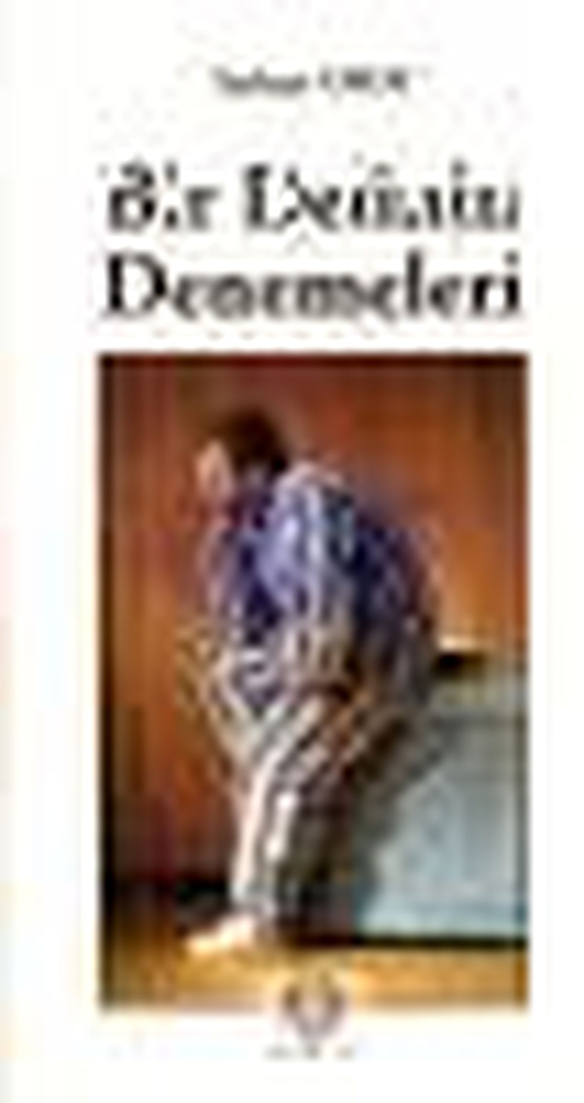 Bir Delinin Denemeleri Kitabı