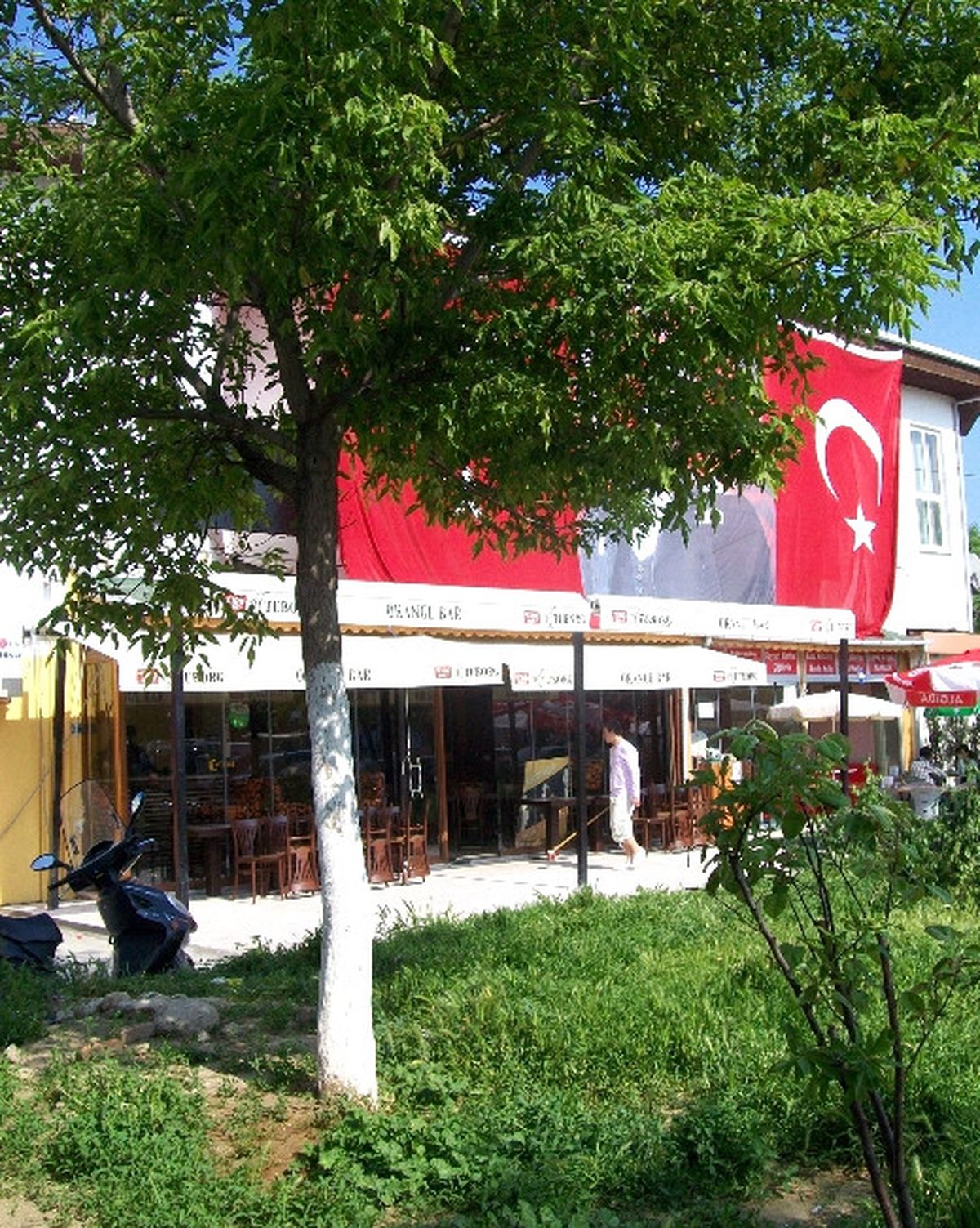 CHP\'li Belediyenin Ağaç Katliamına Çevre Derneğinden Tepki