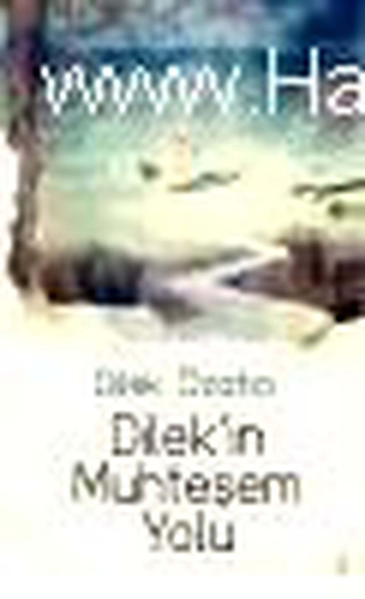 Dilek\'in Muhteşem Yolu Kitabı