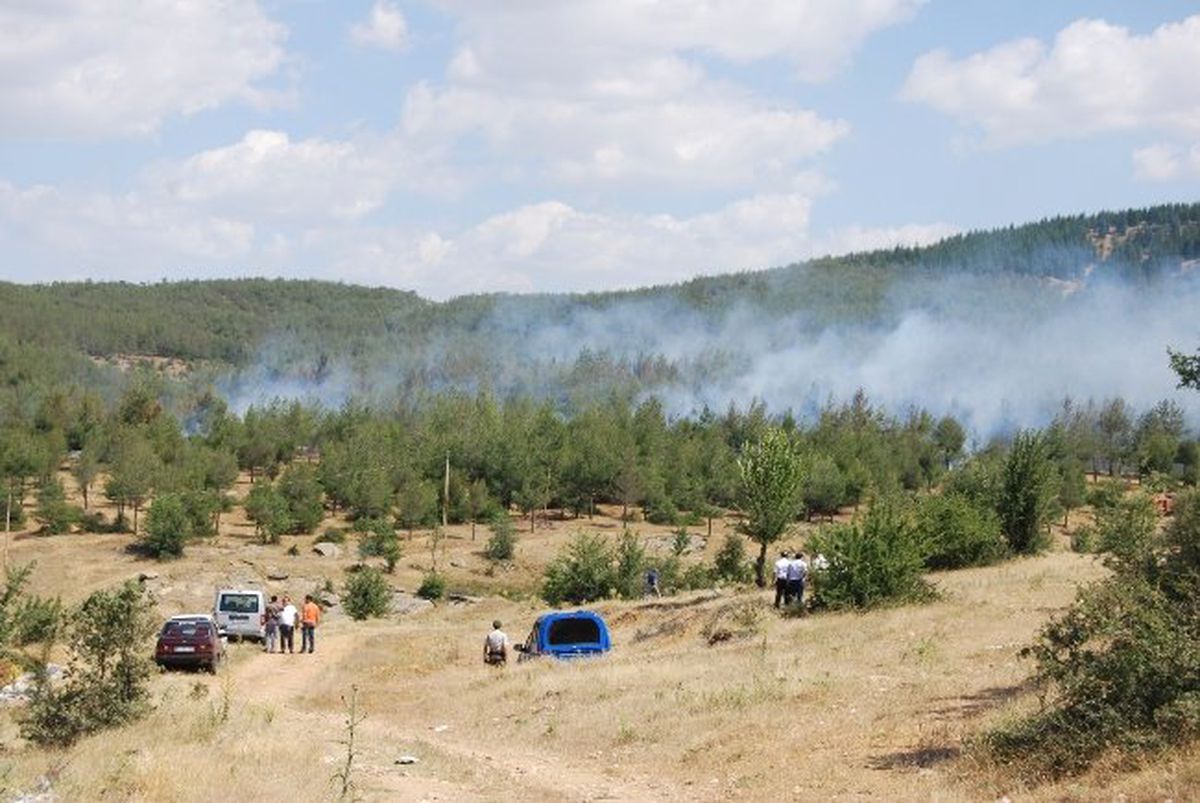 Eşme\'de Orman Yangını