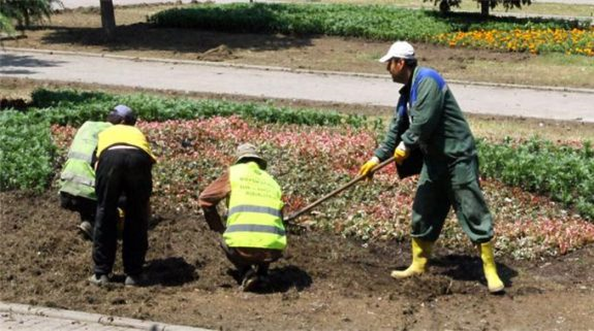 Gezi Parkı Odaklı Gelişmeler