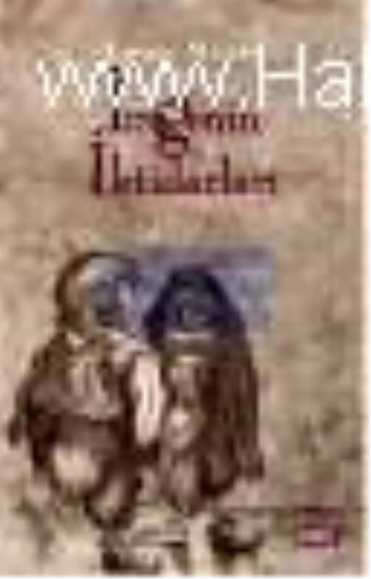 İmgenin İktidarları Kitabı