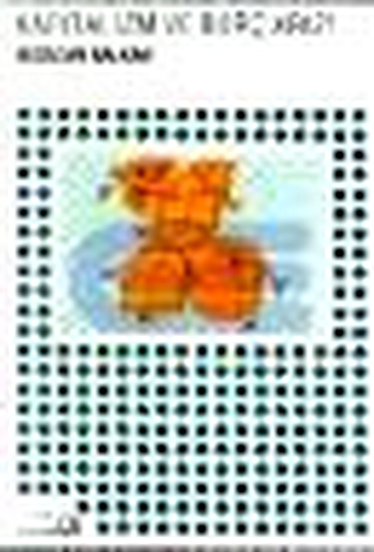 Kapitalizm ve Borç Krizi Kitabı