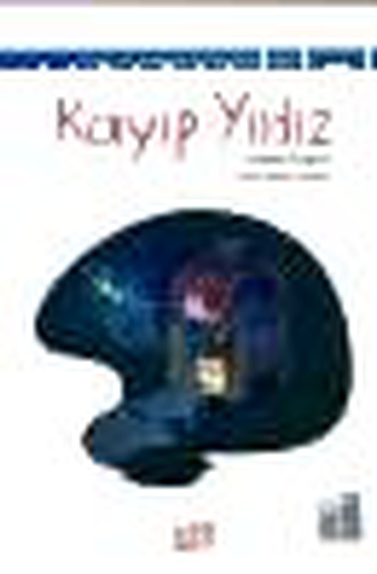 Kayıp Yıldız Kitabı
