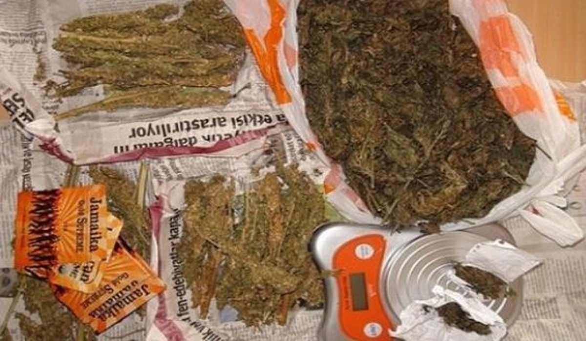 Kocaeli\'de Kenevir Operasyonu Yapıldı