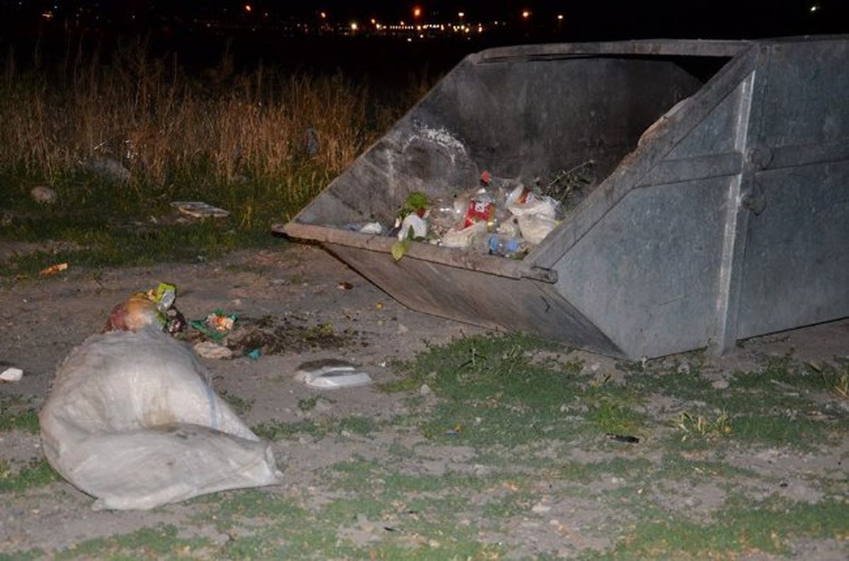 Maydonoz Bahçesine Yatan Köpeği Vurdu