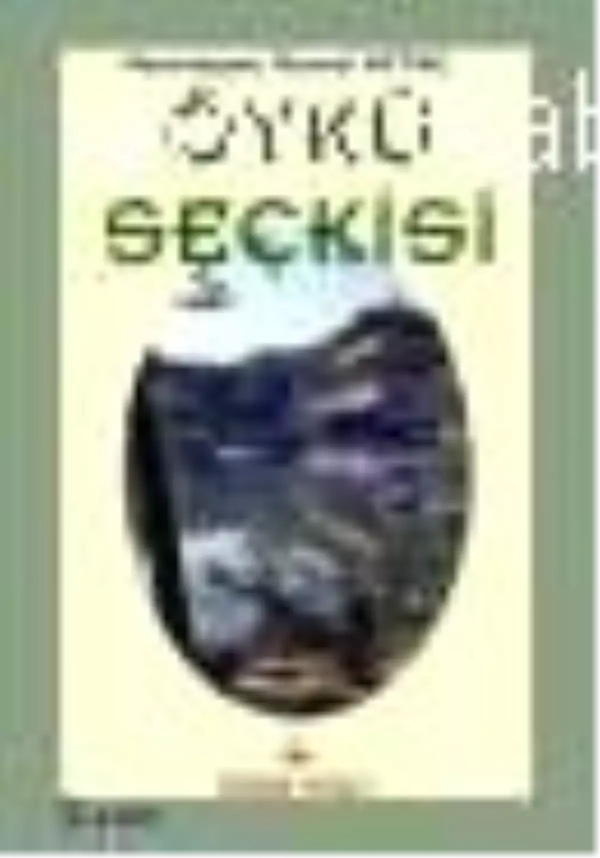 Öykü Seçkisi Kitabı