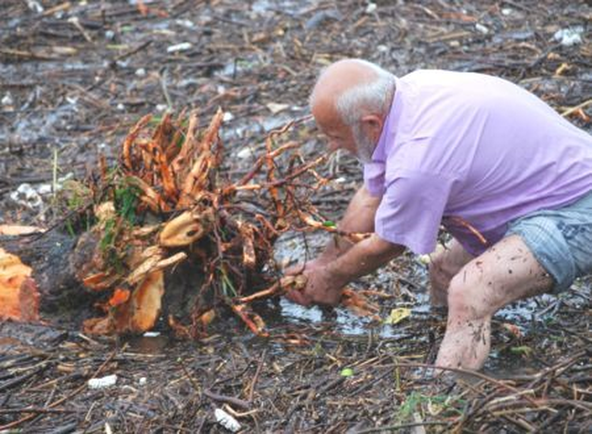 Sel Sularının Taşığı Ağaçları Denizden Topladılar