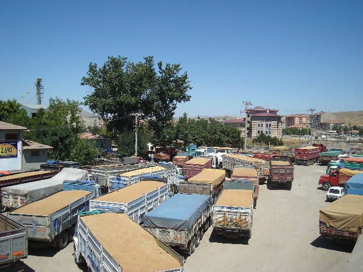 Yerköy TMO Hububat Alımlarına Başladı