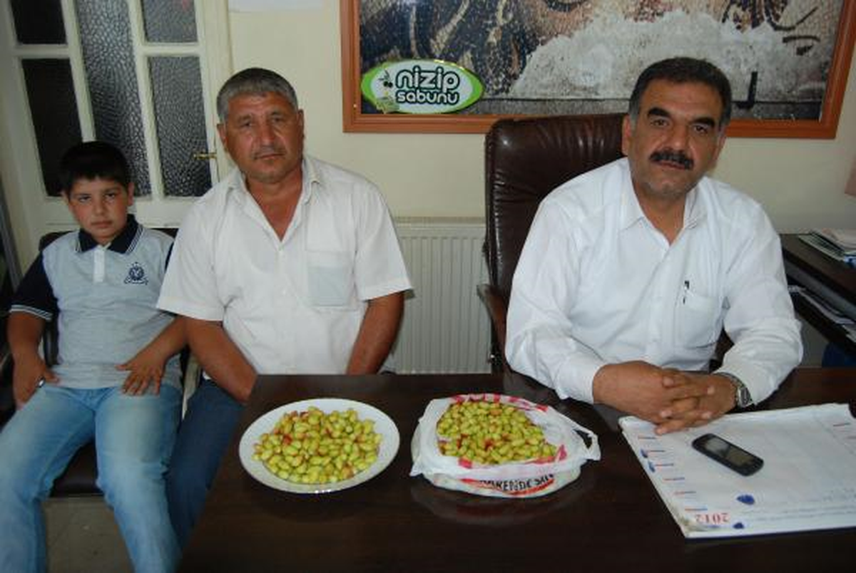 Yılın İlk Fıstığını Getiren Çiftçiye Çeyrek Altın