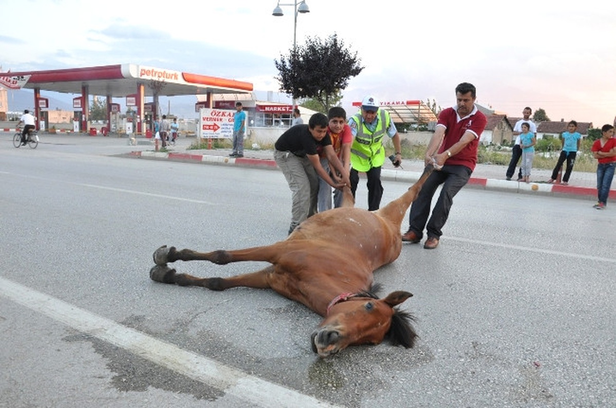 Çocukların Kovaladığı Ata Kamyonet Çarptı