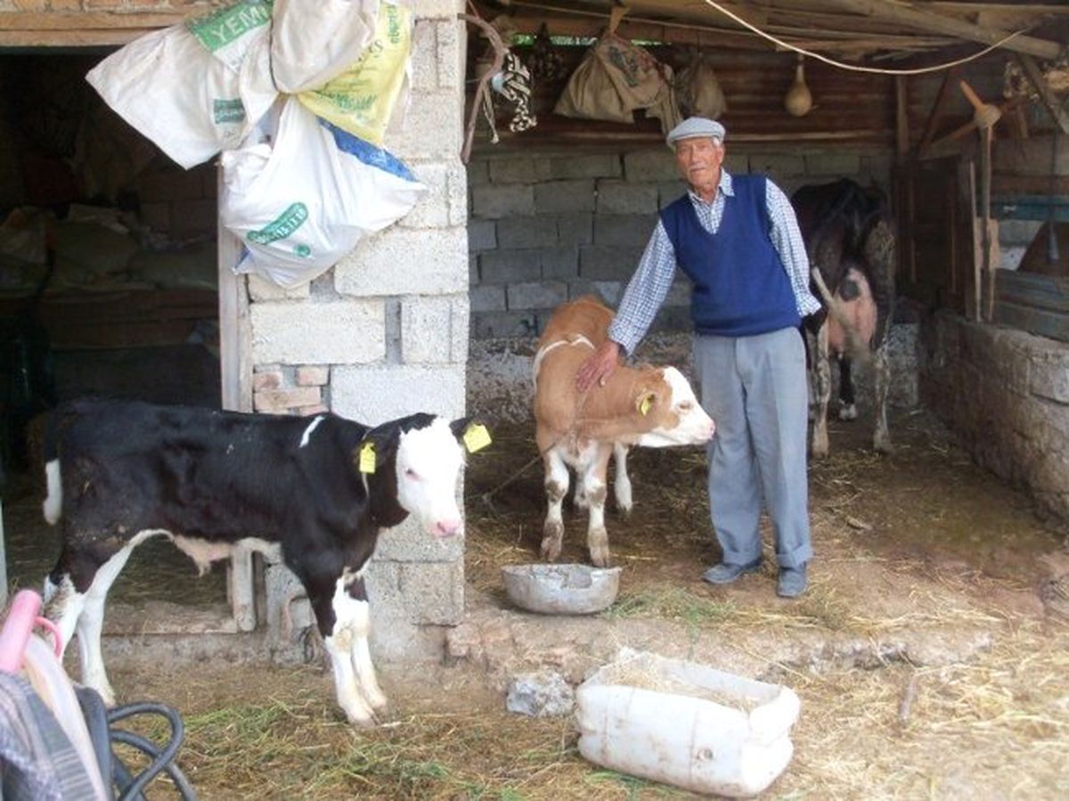 Dalaman\'da Hayvan Sevkleri Hakkında Bilgilendirme Toplantısı