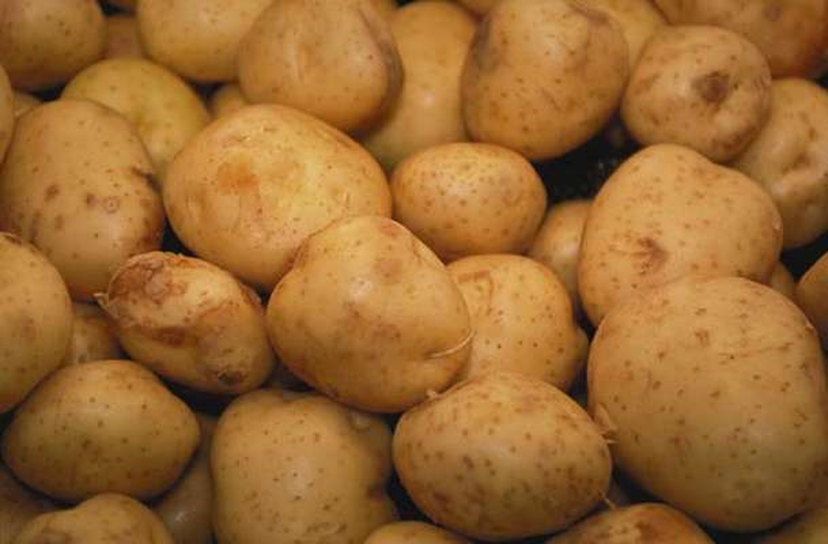 Doğu Marmara'nın Zam Şampiyonu 'Patates'