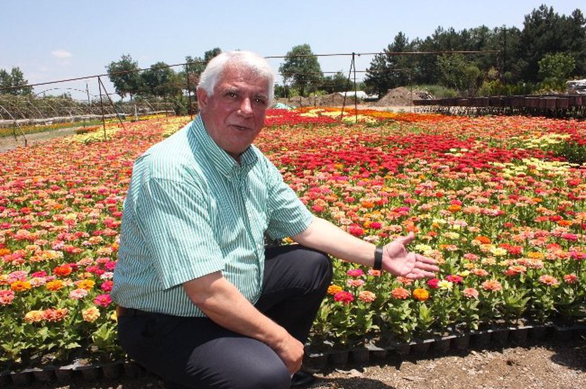 Edirne Belediyesi Kentin Çelitli Bölgelerine Toplam 600 Bin Çiçek Ekecek