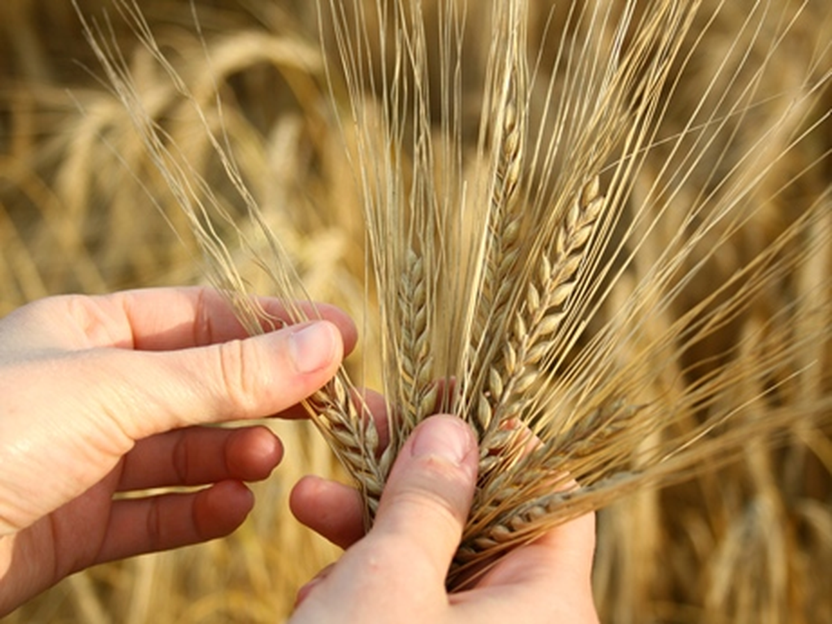 Edirne Ticaret Borsası
