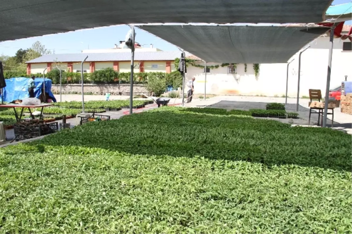 Erzincan 'Marka Şehir' Yolunda Hızla İlerliyor