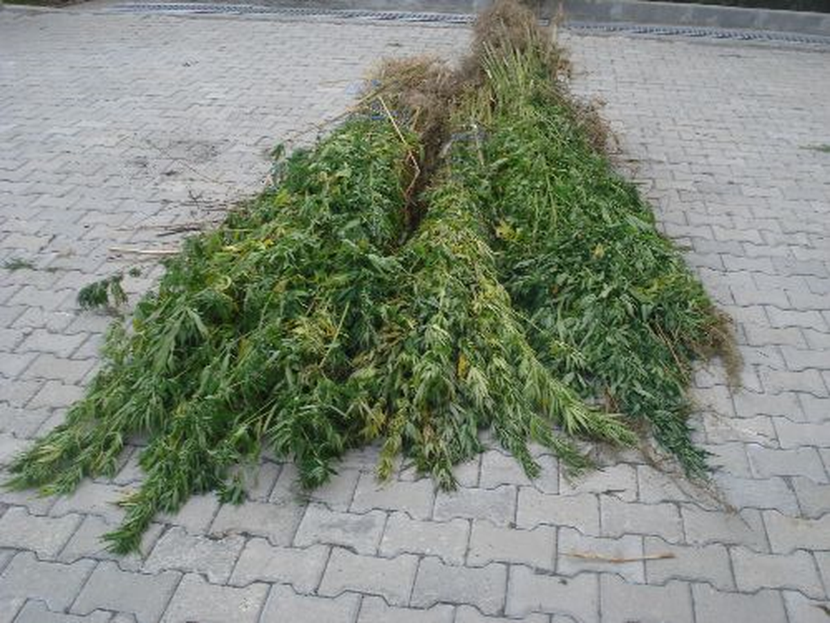 İnegöl\'de Uyuşturucu Operasyonu