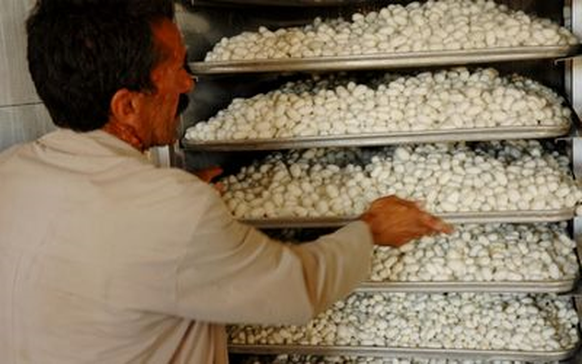 Kulp, İpek Böcekçiliğin Merkezi Oldu