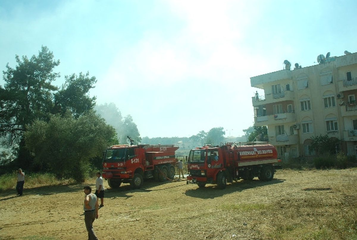 Manavgat\'ta 7 Dönüm Kızılçam Ormanı Yandı