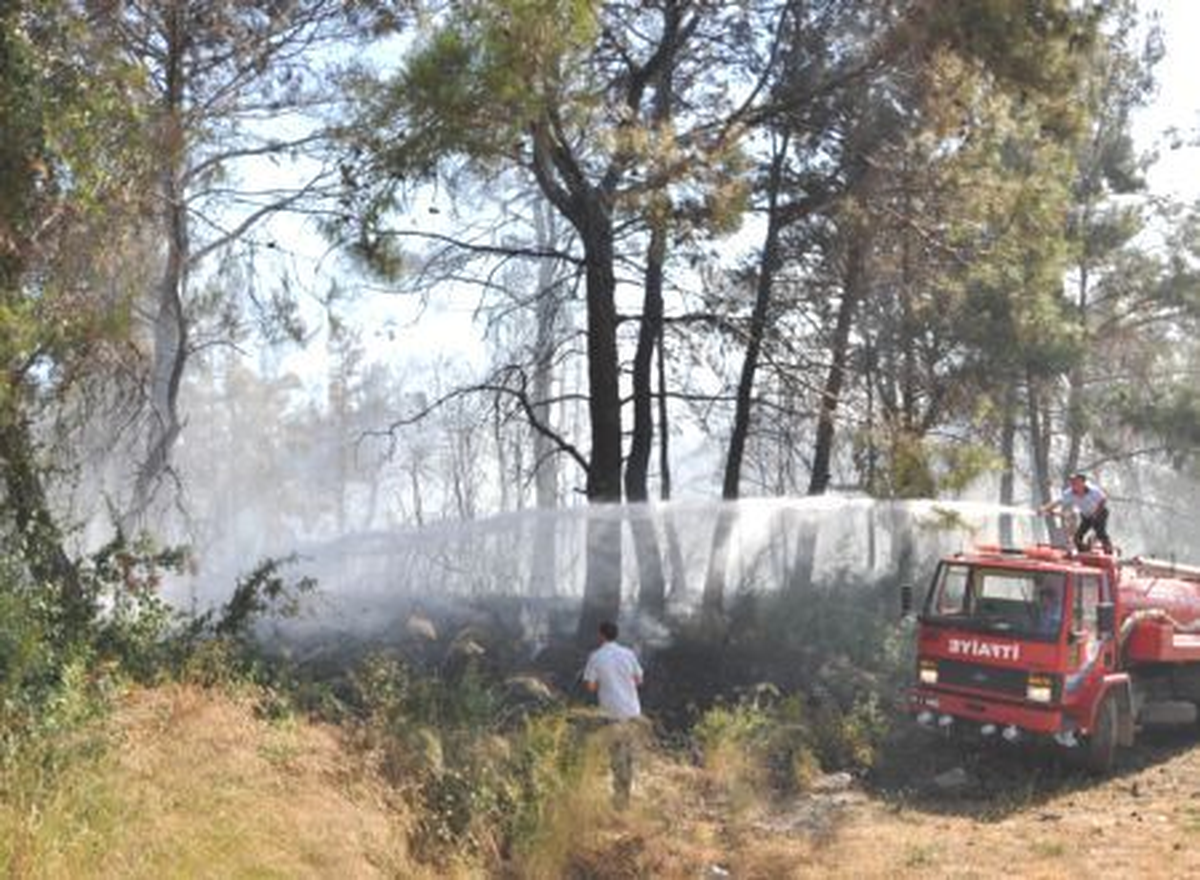 Manavgat\'ta Orman Yangını