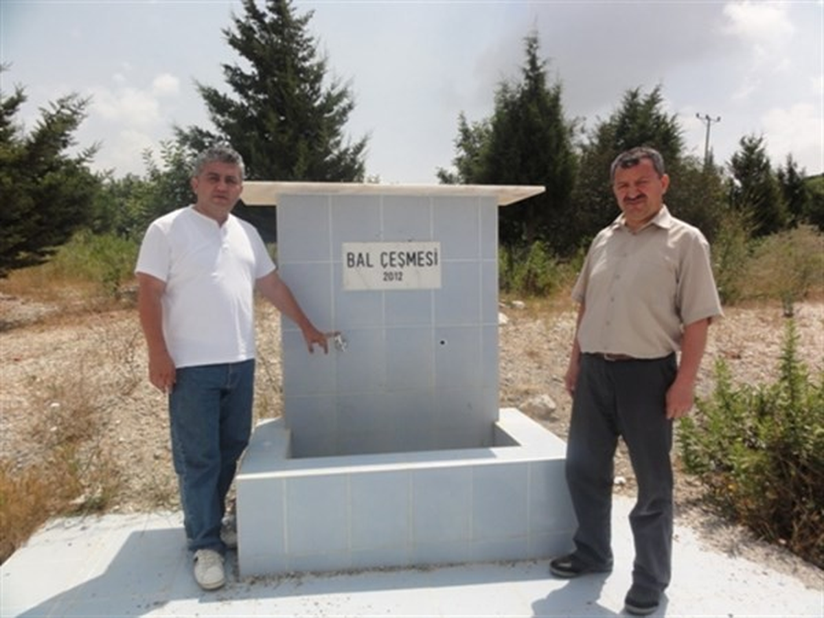 Mersin'de Bal Ormanları ve Defne Envanter Sahaları Denetlendi