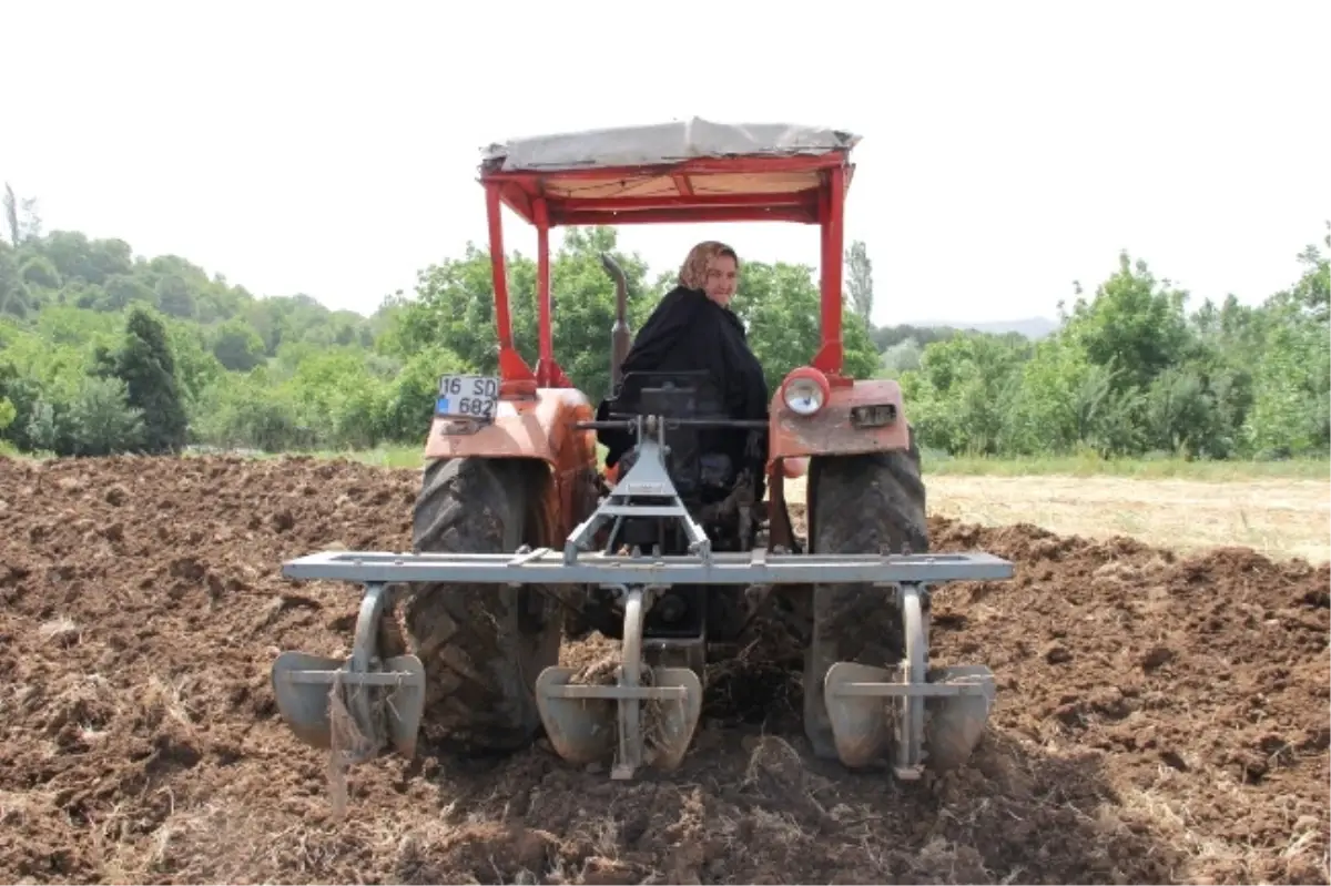 (Özel Haber) Bu Köyde İşler Tersine Dönmüş