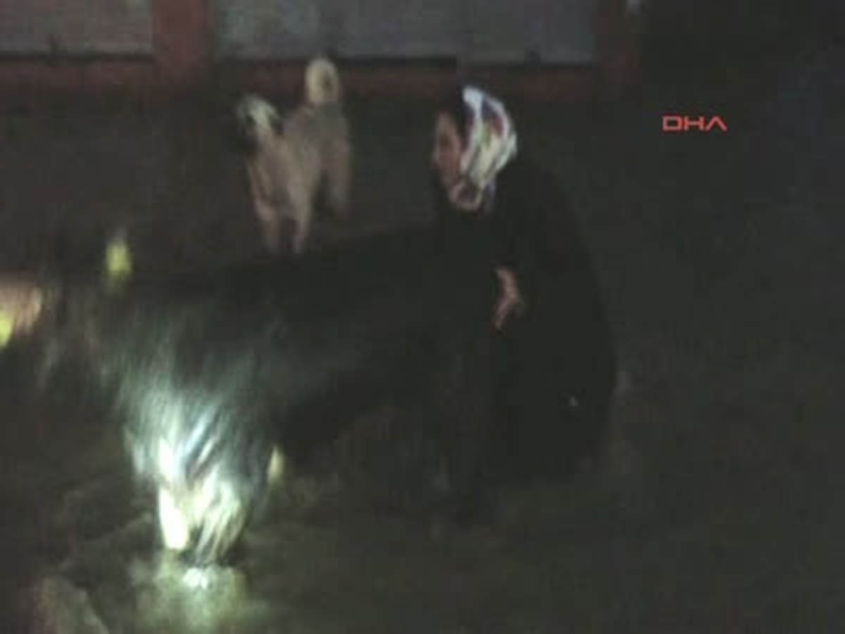 Reşadiye\'de Sağanak Yağmur Sele Neden Oldu