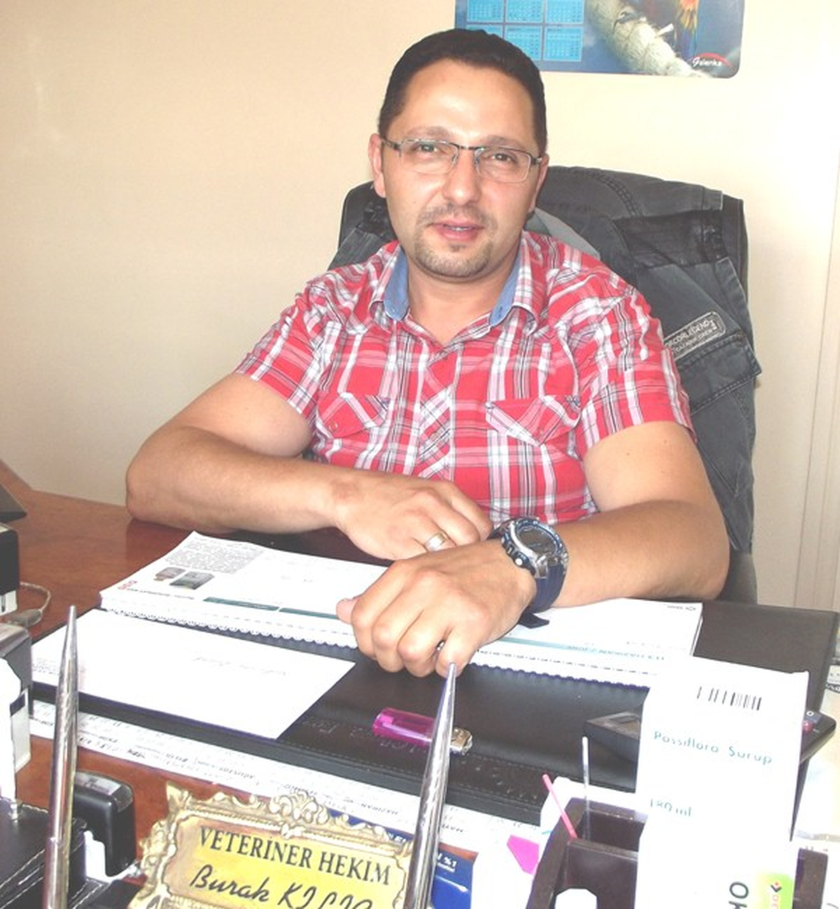 Şarköy\'de Pire ve Kene Çoğaldı