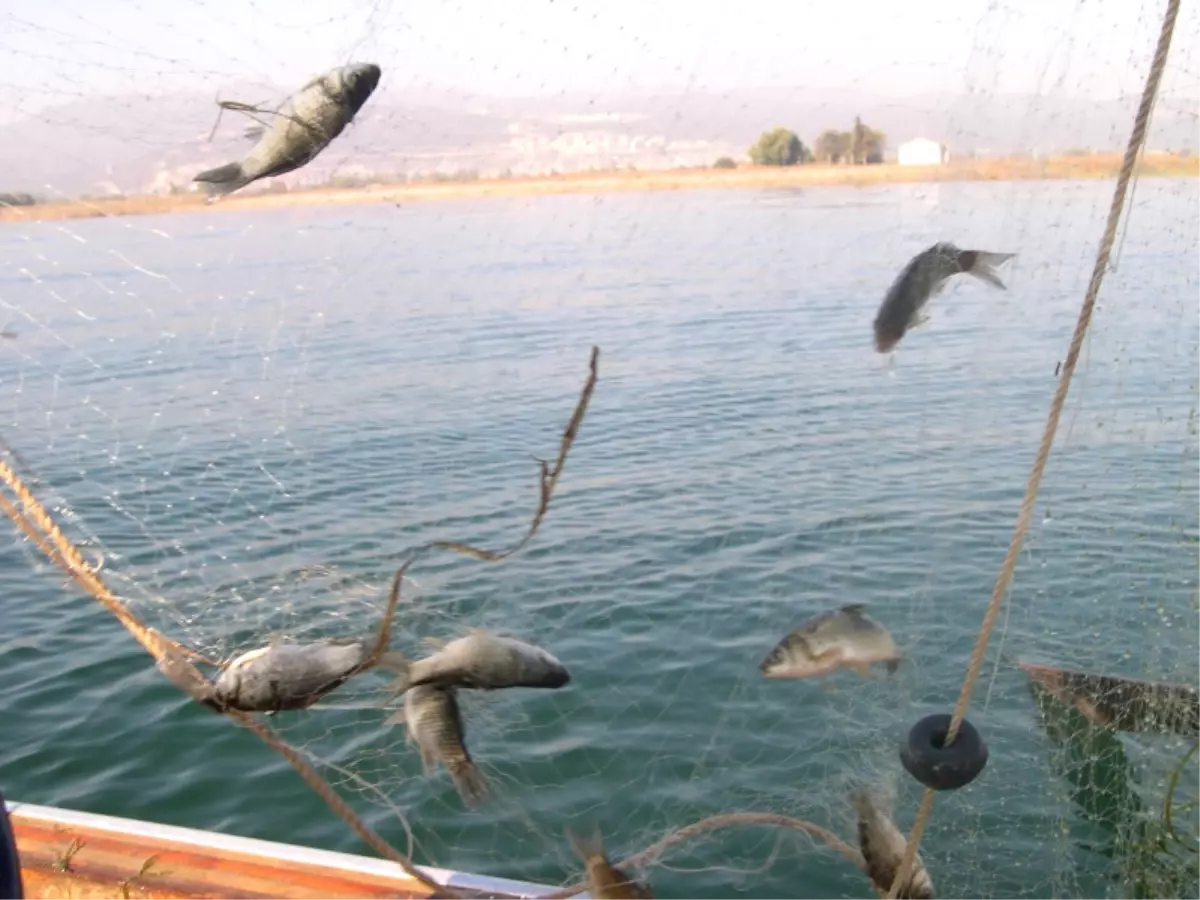 Su Ürünleri Av Yasağı