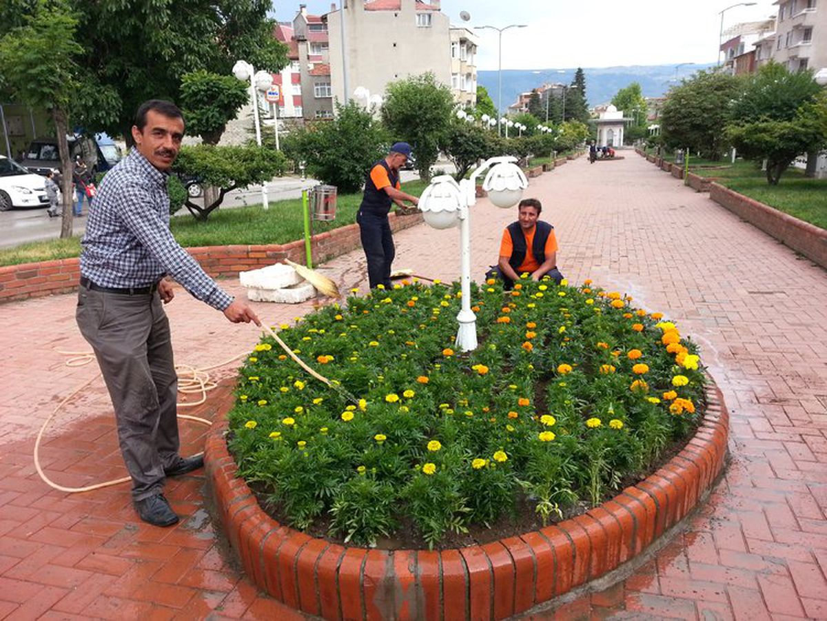 Tosya Çiçek Açtı