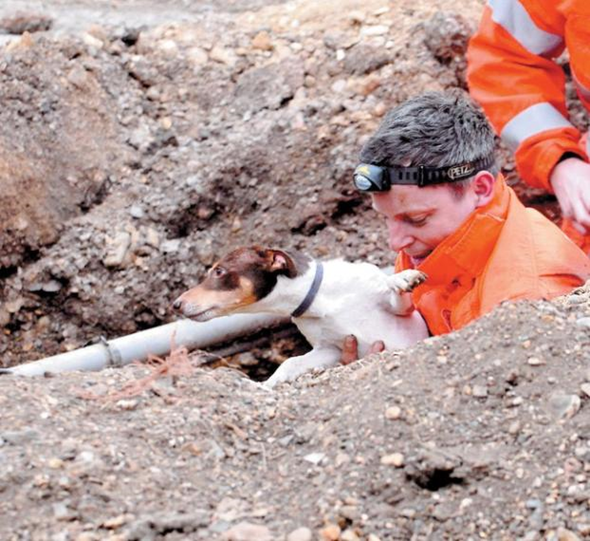 Yağmur Suyu Borusuna Sıkışan Köpek Kurtarıldı