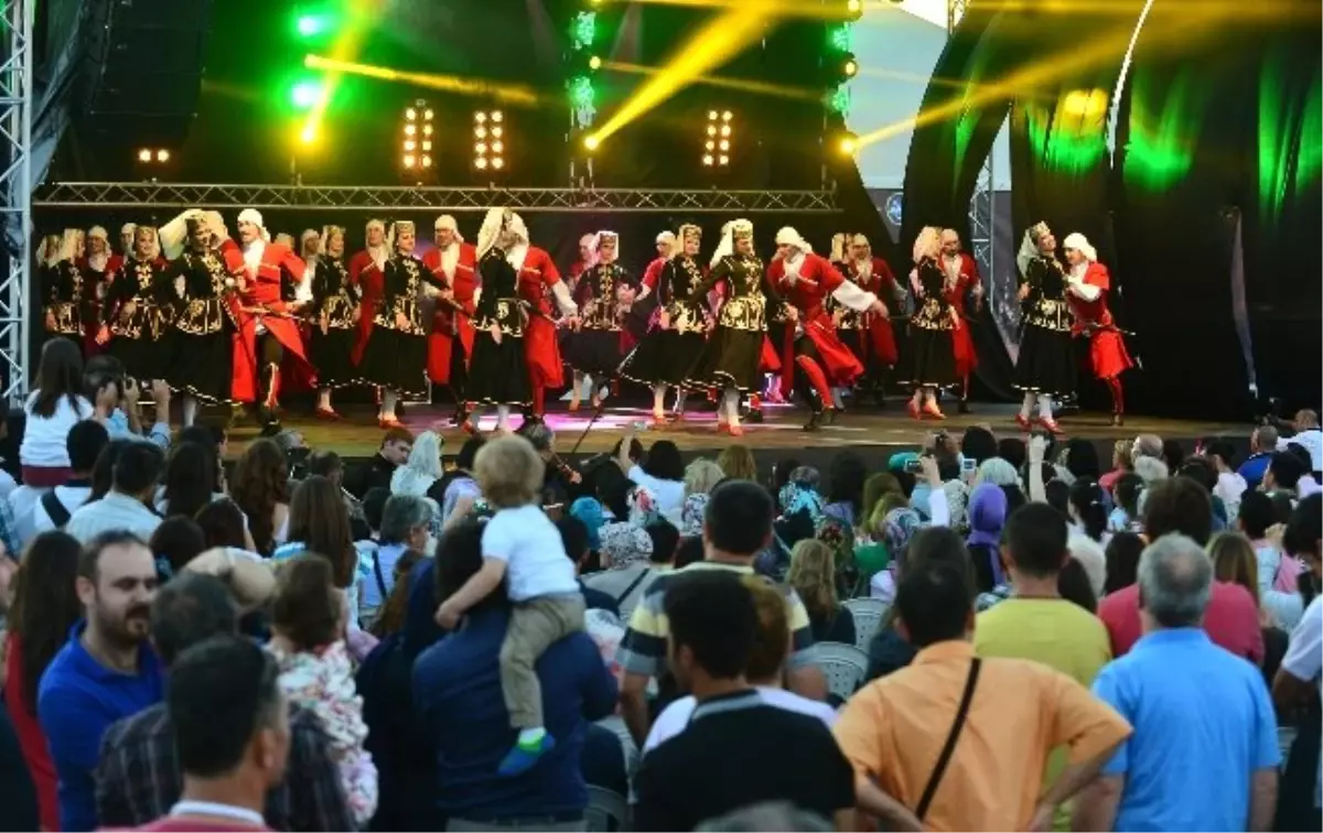 Festival Kıpır Kıpır