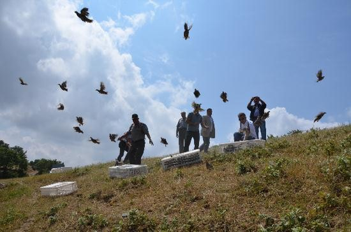 Kınalı Keklikler Doğaya Bırakıldı
