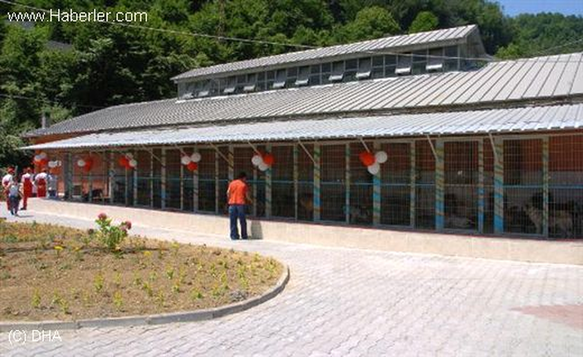 Sokak Hayvanları Rehabilitasyon Merkezi Yenilendi