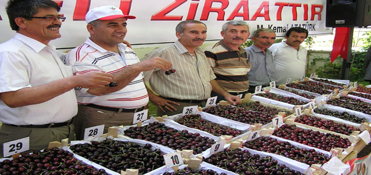 19. Yeşilyurt Kiraz Kültür ve Spor Şenlikleri Yarın Başlıyor