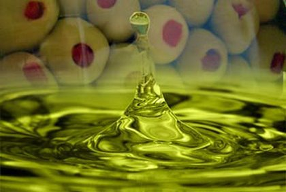 Aydın Ticaret Borsası\'nda Günlük Oluşan Fiyatlar