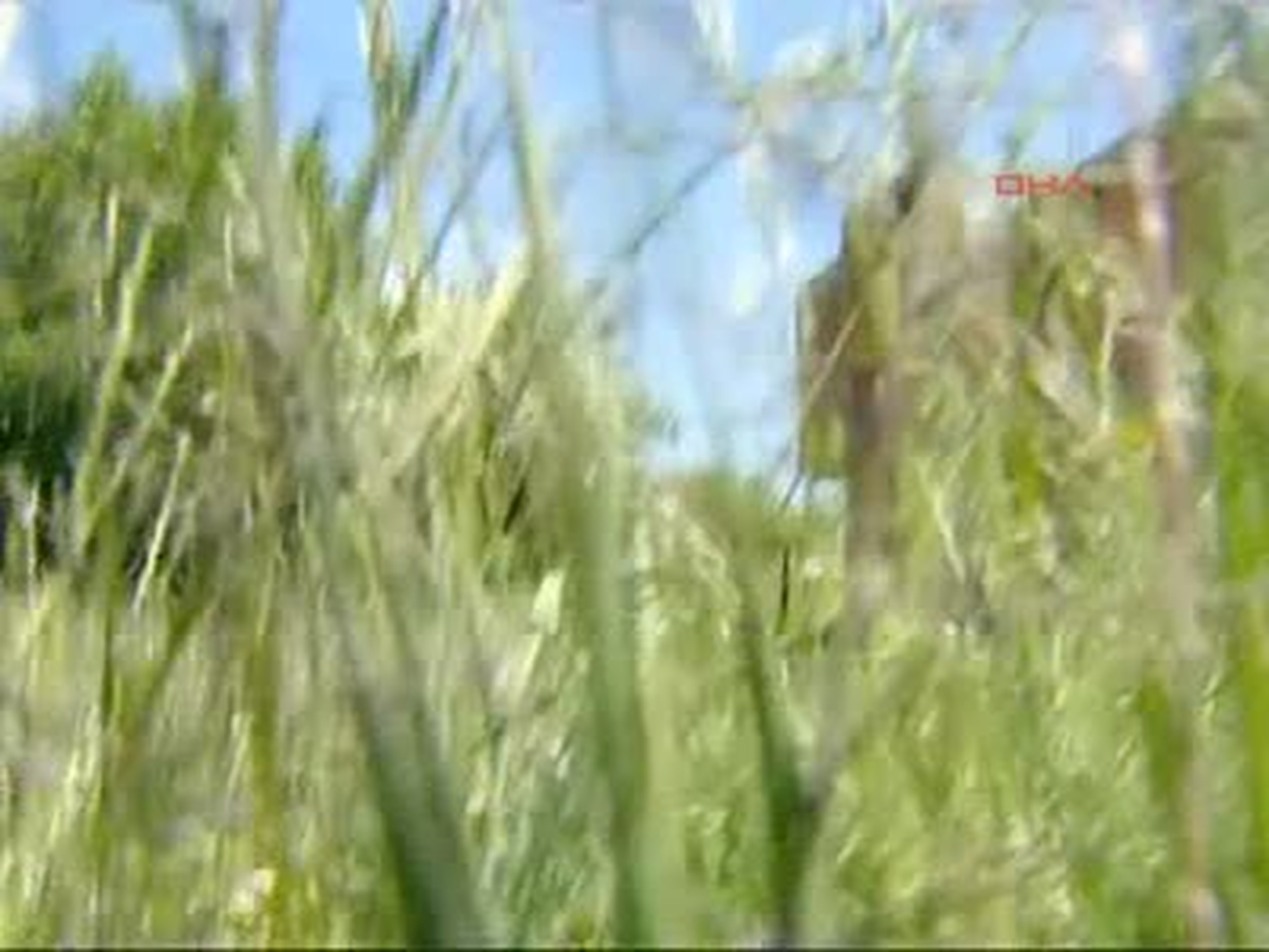 Kene Ölümleri Kosova Meclisinde Görüşüldü