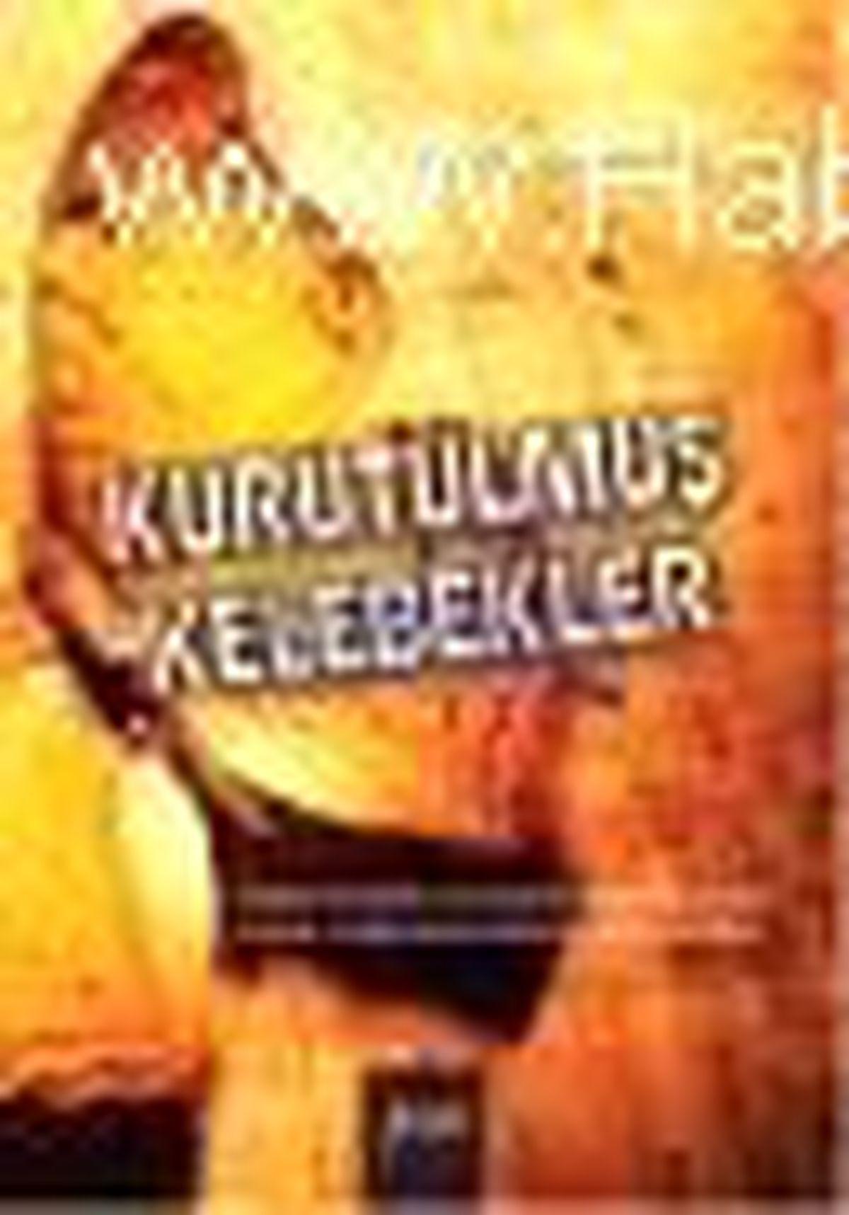 Kurutulmuş Kelebekler Kitabı