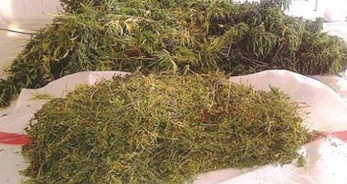 Şanlıurfa\'dan Kısa Kısa