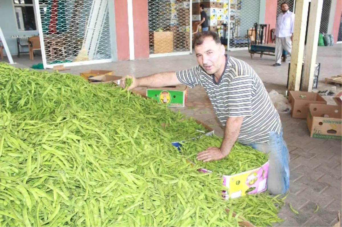 Turfanda Sebzeler Halde Yerini Aldı