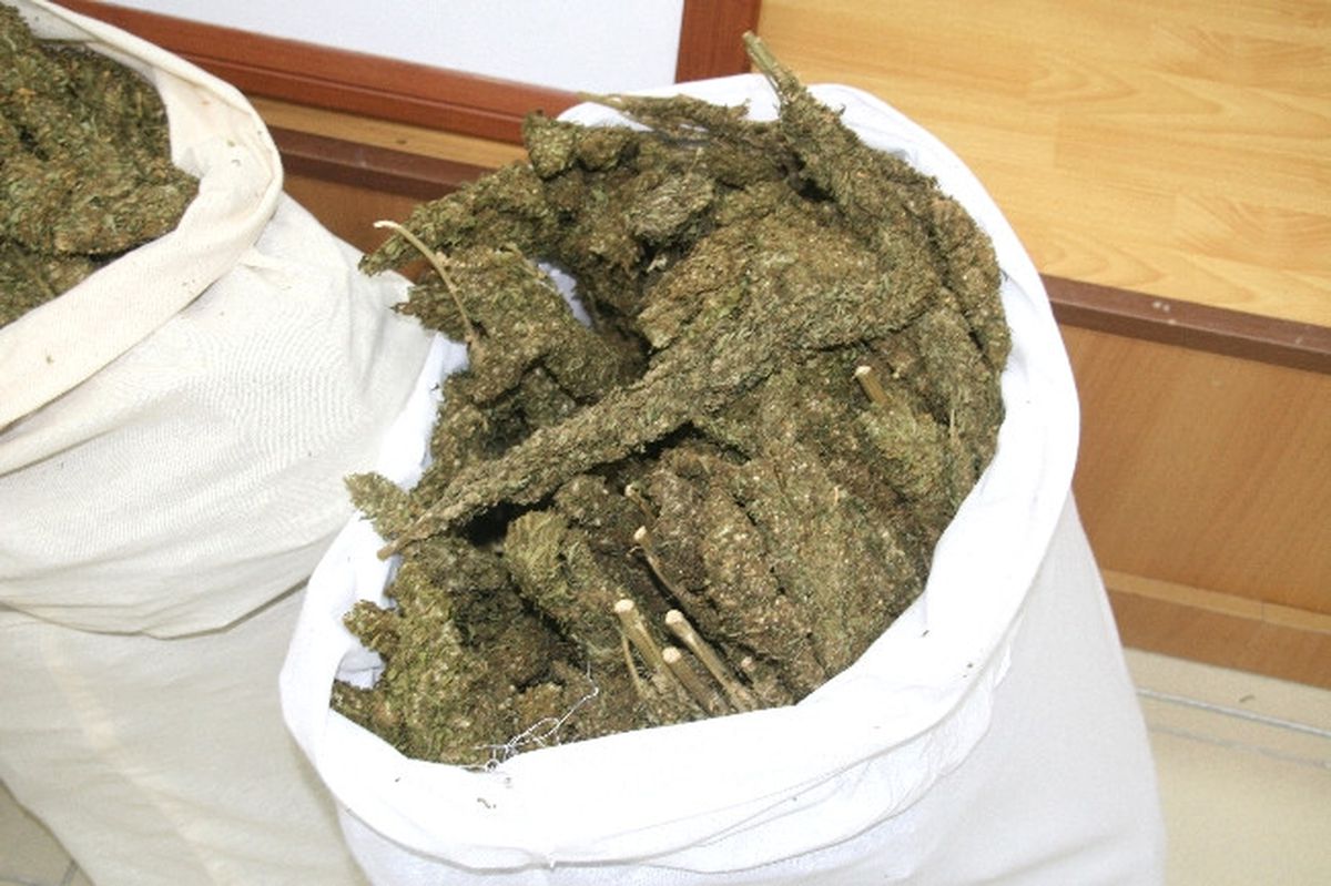Yozgat\'ta 73 Kilogram Esrar Ele Geçirildi
