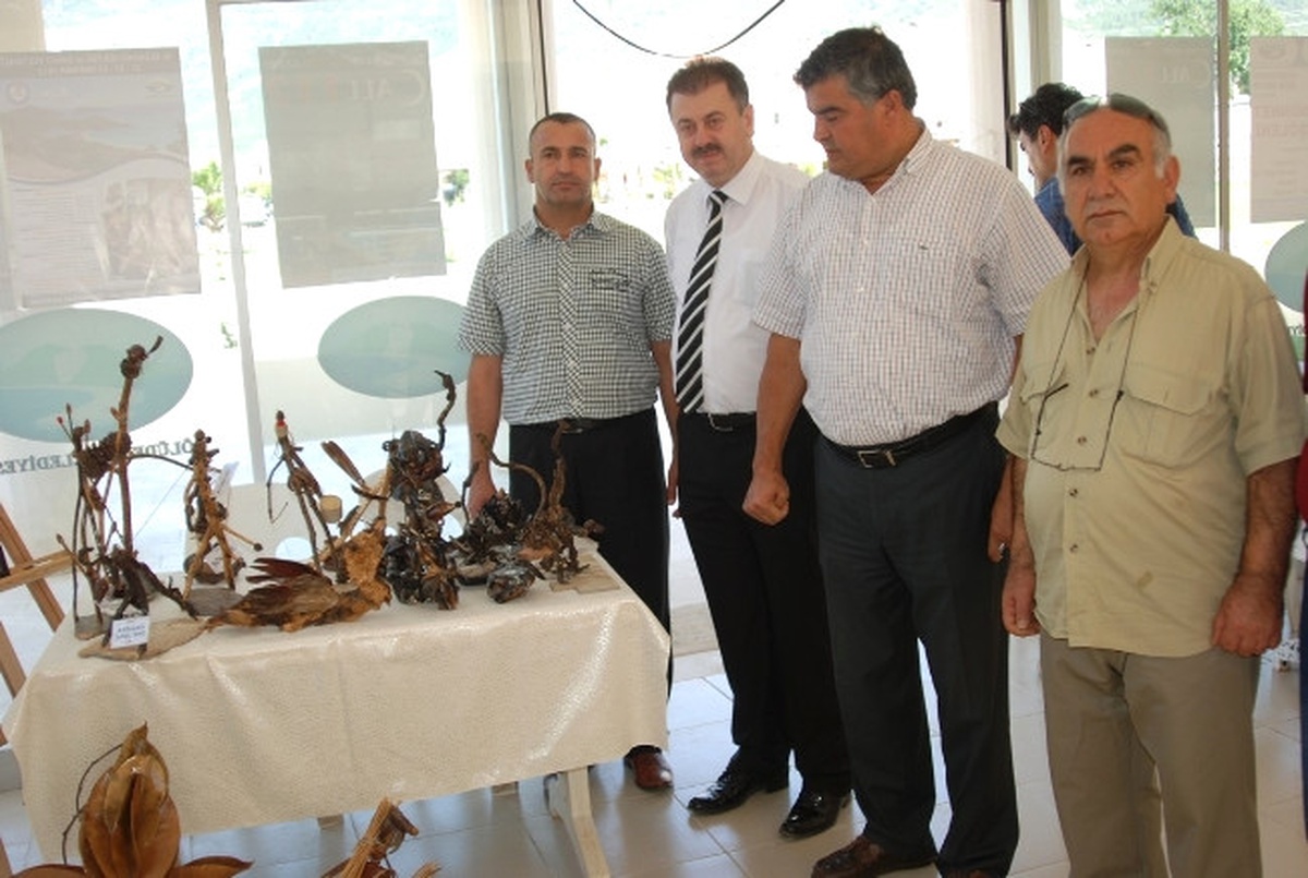 Babadağı Tohumlarının Dünyası ve Kuru Dallar Objelere Dönüştü